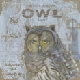thumbnail image 2 of Phillips, Anita 15x15 White Modern Wood Framed Museum Art Print Titled - Where Does an Owl Hoot, 2 of 4