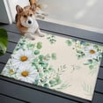 thumbnail image 3 of Entryway Rug 2'x3', Spring Floral Small Rug for Kitchen Bathroom Door Mat Indoor Entrance, Daisy Eucalyptus Leaves Watercolor Rustic Non-Slip Area Rugs Floor Mats Carpet Front Door Rugs, 3 of 8