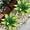 Light Green, variant on Fake Plants Artificial Agave Plants 13.8" Large UV Resistant Fake Agave Planters for Indoor and Outdoor Decorating Tropical Plant Succulents Greenery Indoor Decor(2Pack, Purple