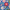 Mutlicolor, variant on Wonder Nation Toddler Bucket Hat