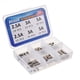 thumbnail image 2 of BOJACK Fusibles de luz navideña Kit surtido de fusibles de vidrio de fusión rápida Mini fusible de 3,6 x 10 mm 125 V 2,5 3 5 A Paquete de fusibles en una caja de plástico transparente, 2 of 6