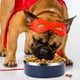 thumbnail image 5 of Tazones de comida para perros pequeños Laklulu. Tazones de agua para comida para perros de acero inoxidable sin derrames. (42 OZ), 5 of 6