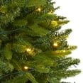 thumbnail image 4 of Nearly Natural Clear Prelit 200 LED Green Holiday Sun Valley Fir Artificial Christmas Tree, 5', 4 of 7