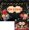 Black, variant on Movie Night Backdrop Now Showing Photography Backdrop Movie Cinema Night Birthday Party Decorations Banner Photo Booth Props