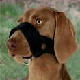 thumbnail image 1 of Bozal para perro, estilo regular, color negro, L (18-30 cm), 1 of 1