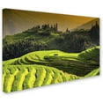 thumbnail image 2 of Trademark Fine Art "Sunset Rice" Canvas Art by Philippe Hugonnard, 2 of 3