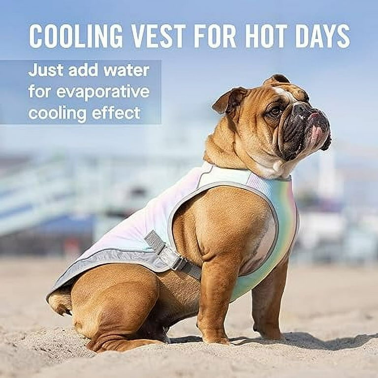 Canada Pooch Chill Seeker Adjustable and Breathable Dog Cooling