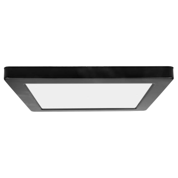 Access Lighting Dual Voltage LED Flush Mount in Black Color