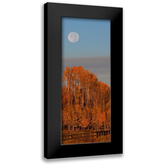 Linden, Sally 8x14 Black Modern Framed Museum Art Print Titled - Fall Trees Moon 1