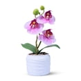 thumbnail image 5 of Accent Collection Pink Orchid Handmade Artificial Plants Indoor 9 inch 23 cm, 5 of 5