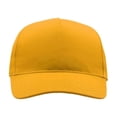 thumbnail image 5 of Atlantis Start 5 Panel Cap, 5 of 5