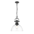 thumbnail image 3 of Yep by Golden Lighting Duncan 1-light 14in chain hung Pendant in Matte Black and Clear Glass, 3 of 4