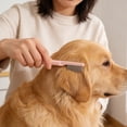 thumbnail image 1 of FOMIYES Peine De Inoxidable Rosa Para Eliminar Y En Ojos De Mascotas Pequeñas, 1 of 8