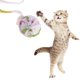 thumbnail image 3 of Juguete Interactivo de de Lanzamiento de de Juguete para 2pcs para - , Blanco Yinane Juguetes de bolas de felpa para gatos, 3 of 8