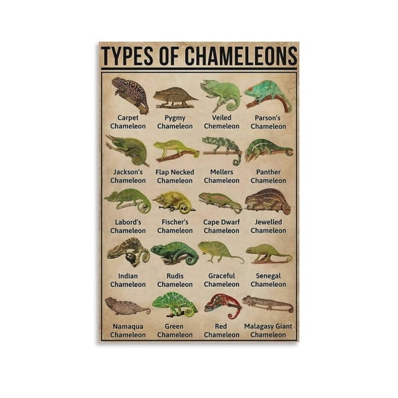 Educational Chameleon Poster - Aesthetic Canvas Wall Art for Living Room and Classroom Decor