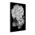 thumbnail image 2 of Tangletown Fine Art 'Floral B-W - 26' Graphic Art Print on Wrapped Canvas, 2 of 2