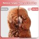 thumbnail image 3 of Ryan's Pet Supplies Paw Brothers Cepillo plano para perros, grande, 3 of 5