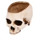 thumbnail image 1 of 1 maceta para decoraciones de Halloween., 1 of 3