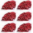thumbnail image 1 of Cheerleading Poms, Squad Cheerleader Poms Sports Party Accessories, 1 of 4