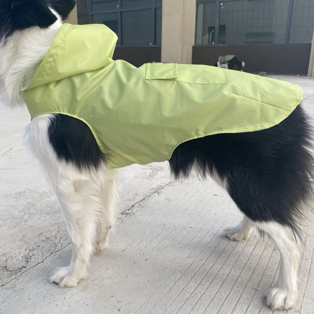 Xiao Hua Chubasquero impermeable para perros, reflectante, ligero y con capucha tipo poncho (XXL, verde B)