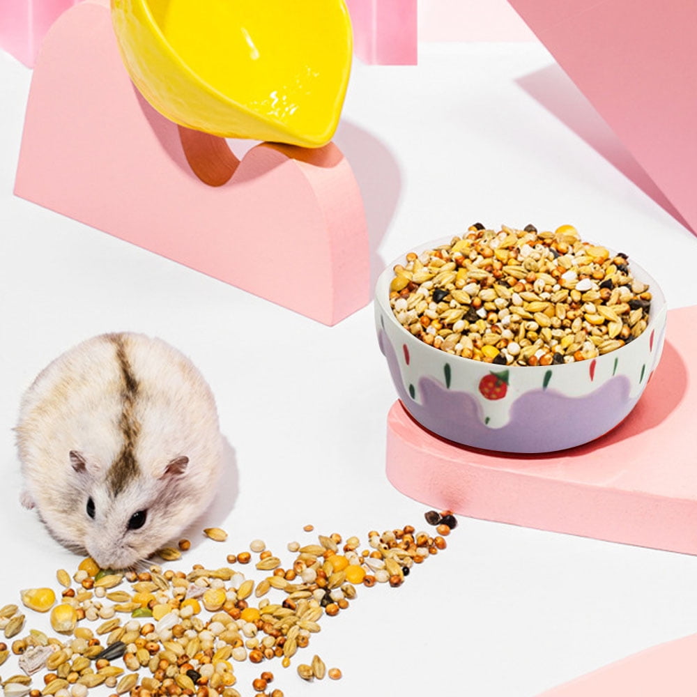 Gerbil food bowl discount
