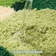 thumbnail image 3 of Alfombra de baño verde con diseño de musgo, diseño 3D irregular, con plantas florales, ultrasuave, absorbente y antideslizante., 3 of 7