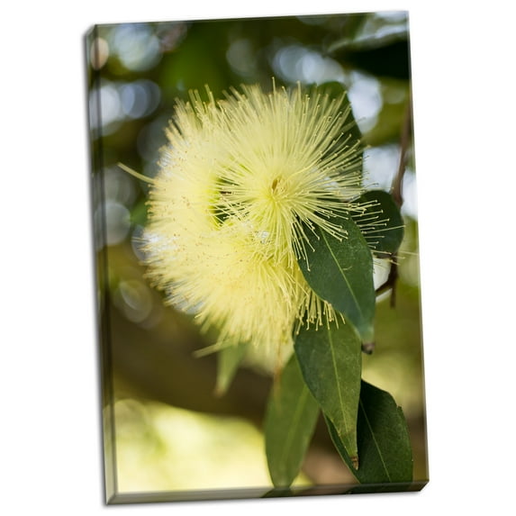 Gango Home Decor Yellow Blossom by Erin Berzel (Ready to Hang); One 24x36in Hand-Stretched Canvas