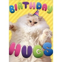 Avanti Press Birthday Hugs Cat Funny Birthday Card