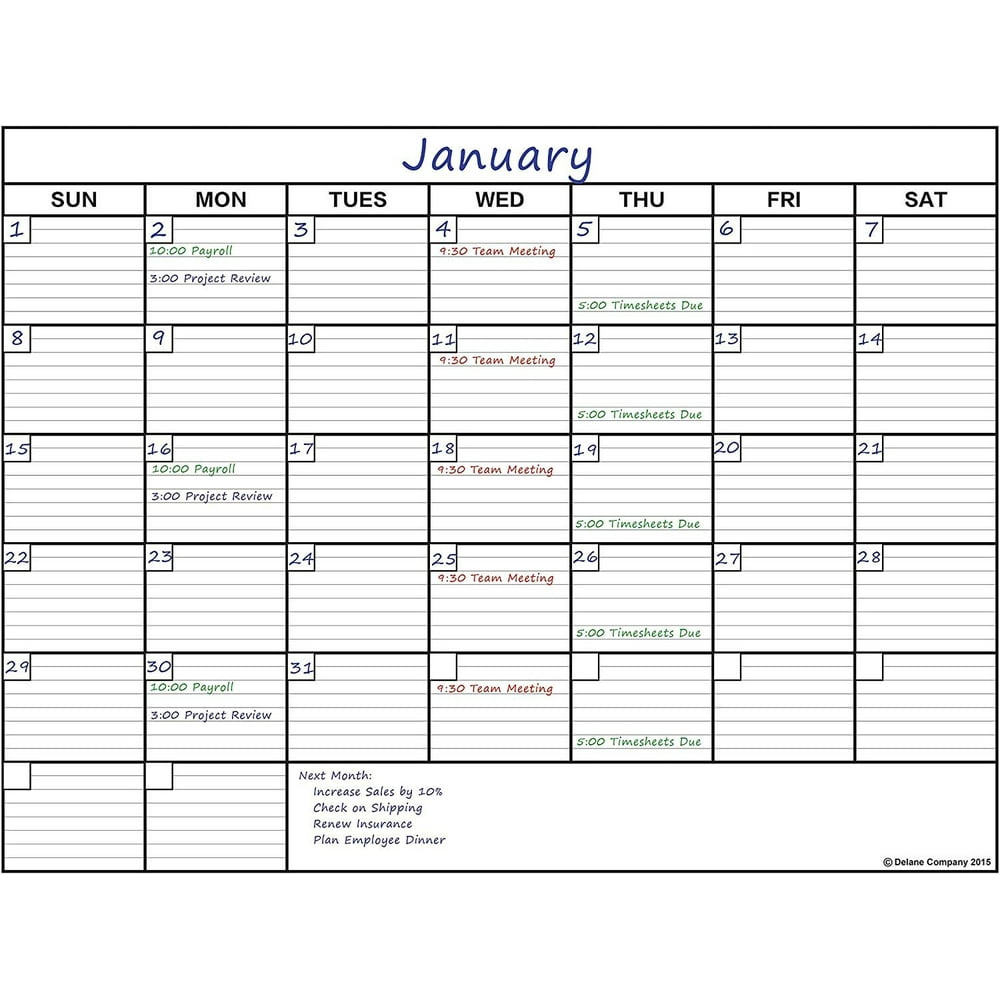 Delane Large Erasable Wall Calendar Planner, 36 x 48 Inch Erasable