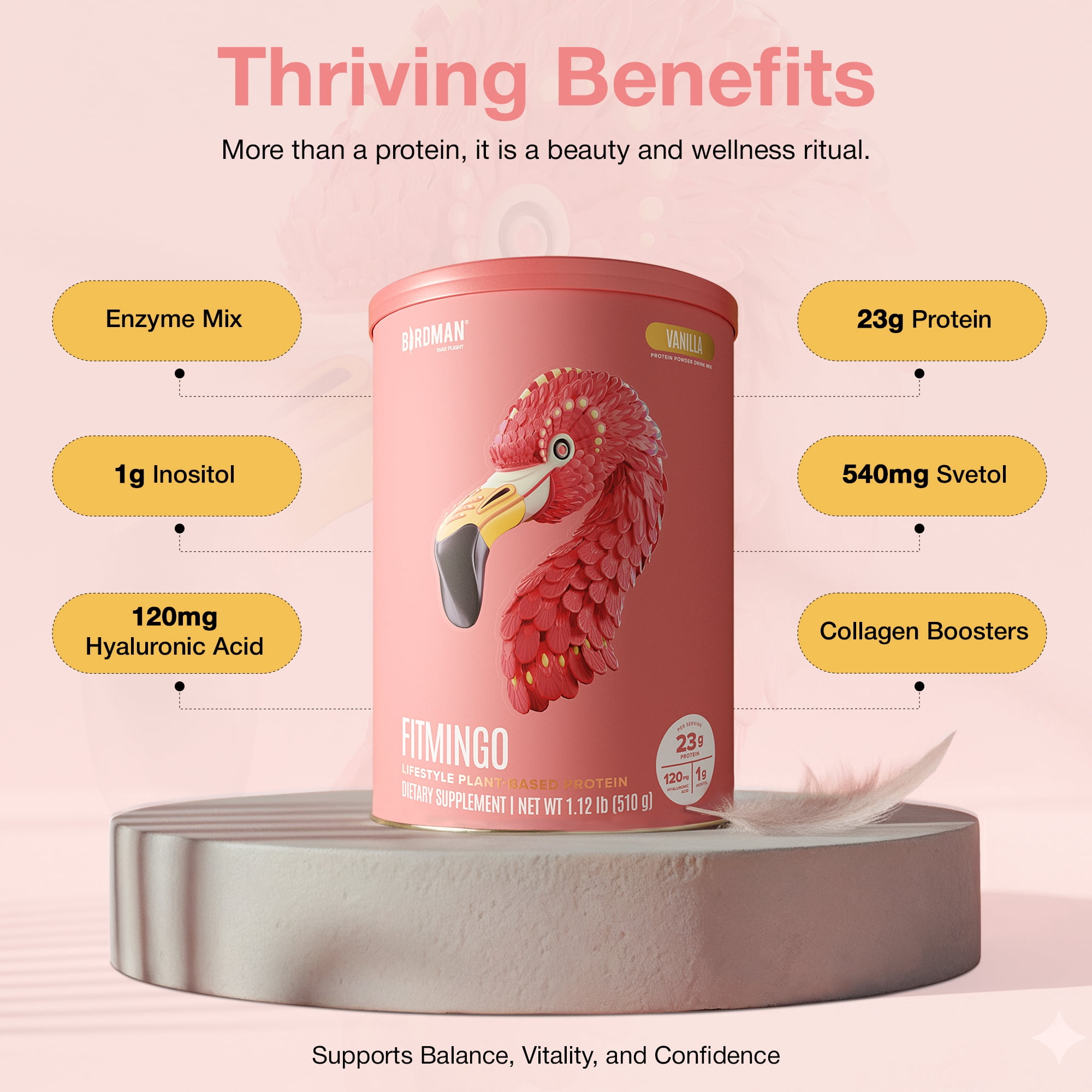 BIRDMAN Fitmingo Vegan Protein Powder with Inositol, 3 Blends, Vanilla, 15 Servings, 1.12lb