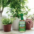 thumbnail image 6 of Dr. Earth Pure Gold Pump & Grow All Purpose Plant Food, 1-1-1 Fertilizer, 8 oz., 6 of 10