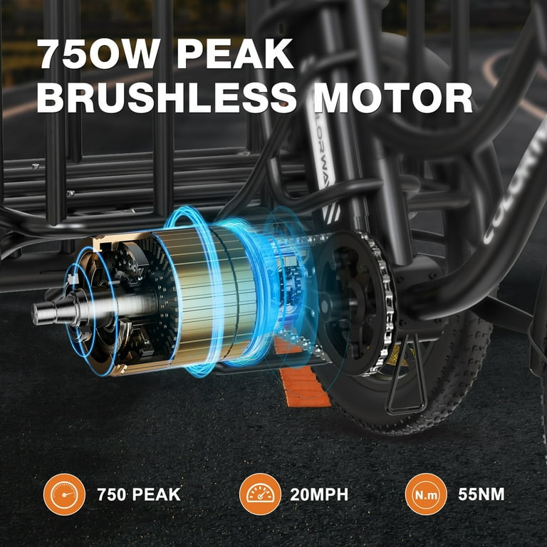 COLORWAY Electric Cargo Bike for Adult, 750W Electric Trike