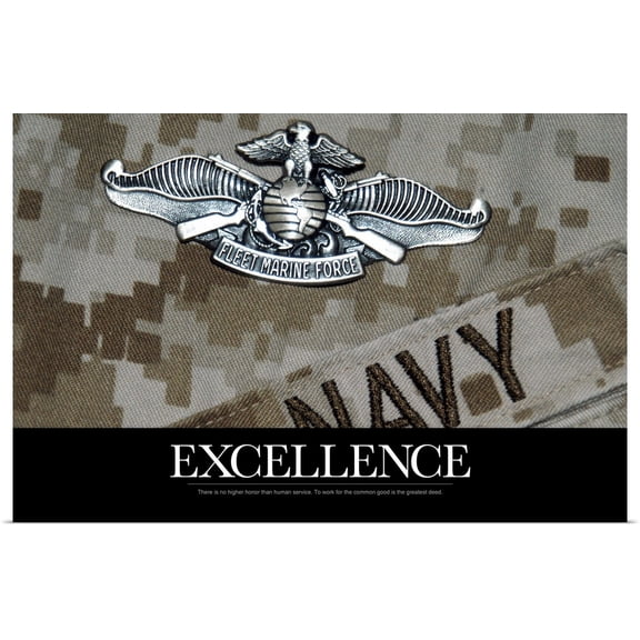 Great BIG Canvas | Rolled Kate Lillyson Poster Print entitled US Navy Poster : The Fleet Marine Force Warfare Specialist Pin