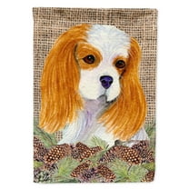Carolines Treasures SS4107-FLAG-PARENT Cavalier Spaniel Flag multicolor