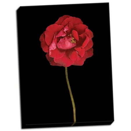Fleur De Lis Living Red Rose Ii Photographic Print On