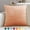Khaki, variant on Djiypn Velvet Throw Pillow 18x18 Inch, 1 Pack Super Soft Decorative Square Cushion Modern Luxury Home Decor for Sofa, Couch, Bed, Chair, Black