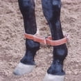 thumbnail image 1 of Martin Harness Leather Hobbles, 1 of 4