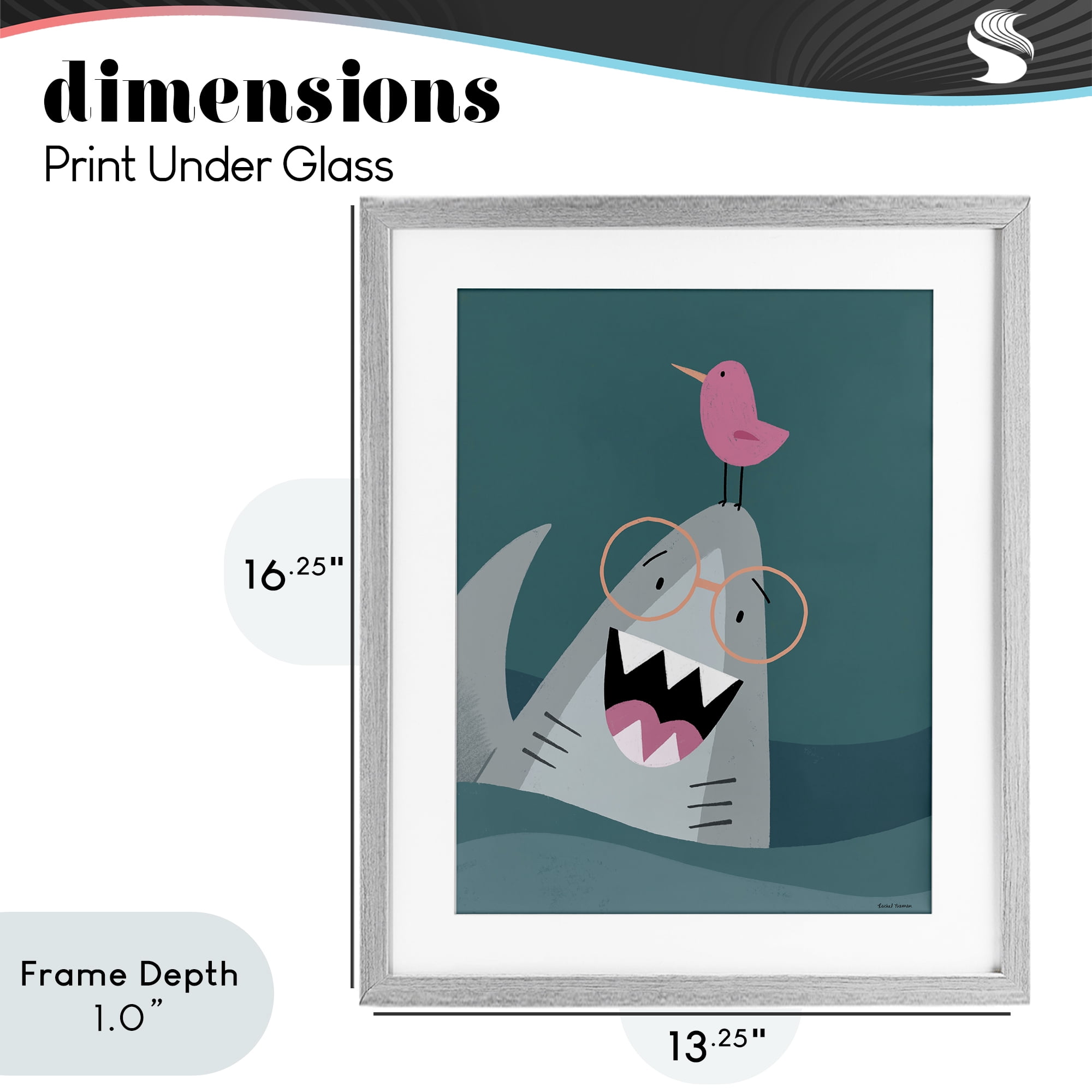 Stupell Industries The Friendliest Shark Gray Framed Print Under Glass, design by Rachel Nieman