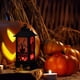 thumbnail image 3 of Halloween Luces Nocturnas Led Electrónica Luces De Ambiente Decoración De Halloween Para Patio Césped Jardín Cateissary HA040818-03, 3 of 6