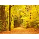 thumbnail image 3 of Póster de lienzo con decoración de otoño, hojas amarillas, vista de otoño, arte de pared, impresión, pintura de puente, imagen de Halloween, decoración del hogar para sala de estar, 3 of 5