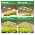 thumbnail image 4 of Full Spectrum LED Grow Light LM281B+ High Brightness Growing Lamps For Greenhouse Plant Growth Lighting ,Super Long Life, 4 of 7