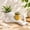 2pcs-mixed C, variant on Lazy Guy Planter, Funny Cute Succulent Plant Pot, Resin Relaxing Person Face Head Flowerpot Unique Bathroom Home Garden Decor, Character Body Vase Gift (Blue)