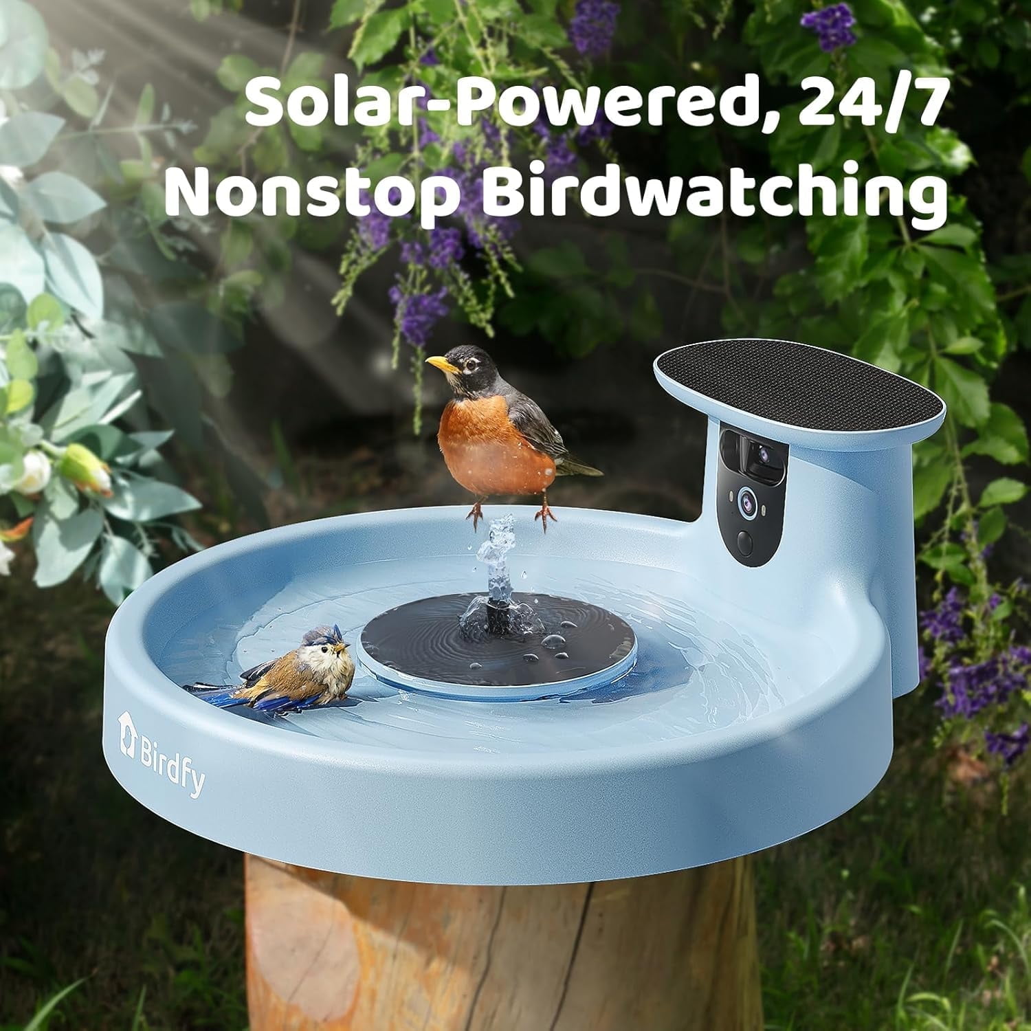 Birdfy Bird Bath with Camera, Solar Powered, Round Pond Fountain, 1080P HD Bird Camera Auto Capture Bird Bath Videos, Blue