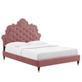 thumbnail image 2 of Modway Sasha Button-Tufted Performance Velvet King Bed in Dusty Rose, 2 of 10