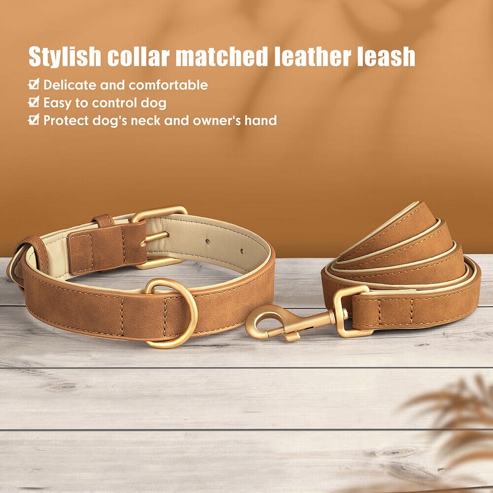 Pet Artist PU Leather Dog Collar and Leash set Soft Padded Adjustable for Pets S-XL