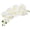White, variant on Yesbay Artificial Orchid Flowers Long Stemmed Realistic Phalaenopsis Orchids No Maintenance Velvet Petals Fake Flower