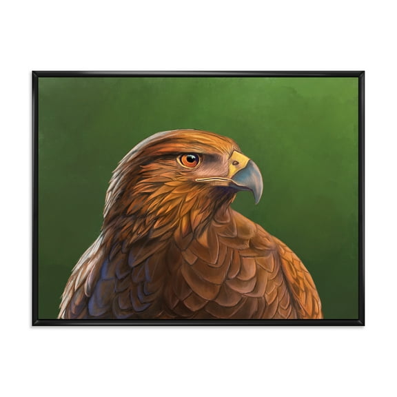 Close UP Of Harris Hawk Bird 20 in x 12 in Framed Painting Canvas Art Print, by Designart
