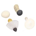 thumbnail image 4 of 4pcs Miniature Mushroom Model Set High Simulation Mushroom Figurines Decoration for Education, 4 of 7