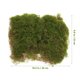 thumbnail image 2 of Césped de musgo simulado, musgo artificial, liquen, estera de musgo falso, musgo verde simulado, 2 of 7