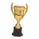 thumbnail image 5 of Copa de Trofeo de Participación Copa de Trofeo Mini Copa de Trofeo Divertido Premio Copa de Trofeo para Fiesta Estilo D, 5 of 9